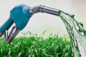 Biocombustíveis para Geradores de Energia